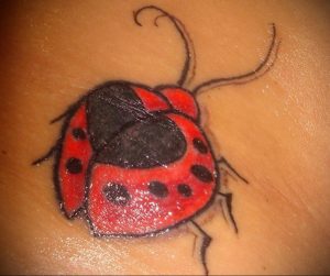 Фото тату про любовь рисунок Божья Коровка 03.02.2020 №170 -ladybug- tatufoto.com