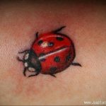 Фото тату про любовь рисунок Божья Коровка 03.02.2020 №230 -ladybug- tatufoto.com