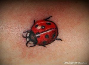Фото тату про любовь рисунок Божья Коровка 03.02.2020 №230 -ladybug- tatufoto.com
