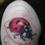 Фото тату про любовь рисунок Божья Коровка 03.02.2020 №233 -ladybug- tatufoto.com