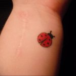 Фото тату про любовь рисунок Божья Коровка 03.02.2020 №236 -ladybug- tatufoto.com