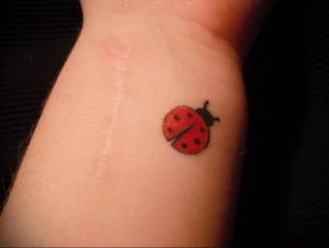 Фото тату про любовь рисунок Божья Коровка 03.02.2020 №236 -ladybug- tatufoto.com