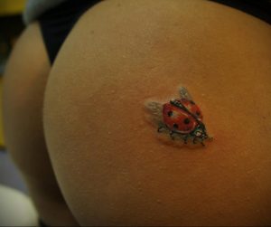 Фото тату про любовь рисунок Божья Коровка 03.02.2020 №237 -ladybug- tatufoto.com