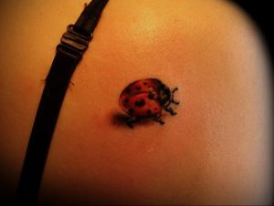 Фото тату про любовь рисунок Божья Коровка 03.02.2020 №243 -ladybug- tatufoto.com