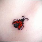 Фото тату про любовь рисунок Божья Коровка 03.02.2020 №244 -ladybug- tatufoto.com