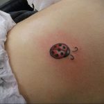 Фото тату на лопатке: крошечная красная божья коровка с черными точками. Минималистичный дизайн.