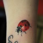 Фото тату про любовь рисунок Божья Коровка 03.02.2020 №251 -ladybug- tatufoto.com