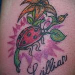 Фото тату про любовь рисунок Божья Коровка 03.02.2020 №265 -ladybug- tatufoto.com