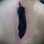 Фото тату про любовь рисунок Перо 03.02.2020 №220 -tattoo feather- tatufoto.com