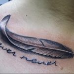 Фото татуировки пера с надписью "never never" на плече. Черно-серое изображение с реалистичной проработкой пера.
