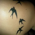 Фото тату стаи птиц, выполненных в виде силуэтов, на спине. Элегантный и динамичный рисунок татуировки, создающий ощущение полета.