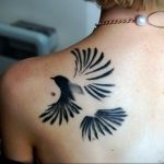 Черно-белое фото тату птицы на лопатке. Изящный рисунок с расправленными крыльями, выполненный тонкими линиями. Идеально для любителей минимализма.