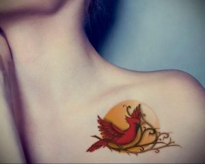 Фото тату красного кардинала на ветке с желтым ореолом на ключице девушки. Красивый рисунок татуировки в ярких цветах.