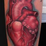 Фото тату: реалистичная татуировка сердца на руке с надписью 'Don't let the tears of agony consume your heart'.