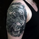 Фото тату с животным на плече 12.03.2020 №044 -animal tattoos- tatufoto.com