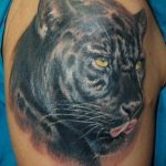 Фото тату с животным на плече 12.03.2020 №096 -animal tattoos- tatufoto.com
