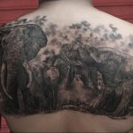 Фото татуировки на спине с изображением семьи слонов, выполненной в черно-серых тонах с эффектом дымки.