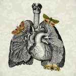 Фото тату: сложная татуировка с изображением легких, сердца и мотыльков на фоне винтажного узора. Рисунок татуировки в черно-белом стиле с добавлением цветных акцентов.
