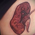 Фото татуировки с почкой человека 26.03.2020 №007 -kidney tattoo- tatufoto.com