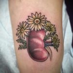 Фото татуировки с почкой человека 26.03.2020 №035 -kidney tattoo- tatufoto.com