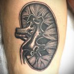 Фото татуировки с почкой человека 26.03.2020 №053 -kidney tattoo- tatufoto.com