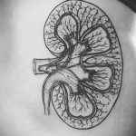 Фото татуировки с почкой человека 26.03.2020 №054 -kidney tattoo- tatufoto.com