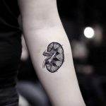 Фото татуировки с почкой человека 26.03.2020 №068 -kidney tattoo- tatufoto.com