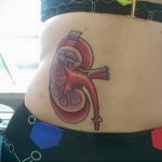 Фото татуировки с почкой человека 26.03.2020 №071 -kidney tattoo- tatufoto.com