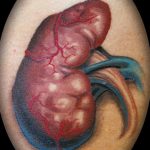 Фото татуировки с почкой человека 26.03.2020 №072 -kidney tattoo- tatufoto.com