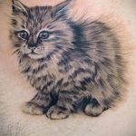 Фото реалистичной татуировки котенка с пушистой шерстью, сидящего на руке. Детализированный рисунок татуировки с проработкой шерсти и глаз.