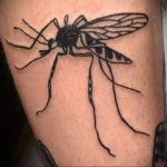 Фото тату комар 25.04.2020 №027 -mosquito tattoo- tatufoto.com
