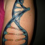Фото тату с цепочкой ДНК 25.04.2020 №077 -DNA Chain Tattoo- tatufoto.com