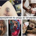 Мероприятия по уходу за татуировкой - информация и фото примеры готовых рисунков тату