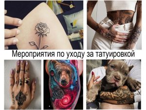 Коллаж фотографий, демонстрирующих различные аспекты ухода за татуировкой: нанесение крема, защиту от солнца, выбор одежды. Также представлены примеры заживших тату.