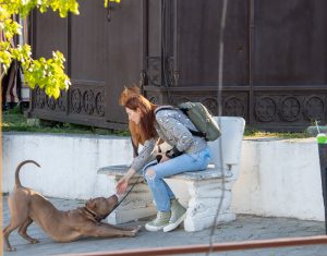 Фотография девушки, сидящей на скамейке и гладящей двух собак разных пород. Яркий солнечный день, городская улица.