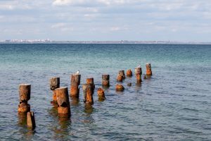 Фото тату: Морской пейзаж с деревянными сваями, на которых сидят чайки, на фоне города.
