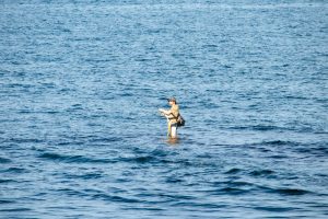 Фотография мужчины, стоящего в море с удочкой, на фоне спокойной воды и голубого неба.