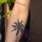 Тату надписи на ноге – пальма и крыло на руке у парня – Уличная татуировка (street tattoo) № 06 – 18.06.2020 – tatufoto.com 6