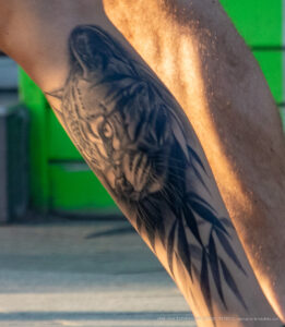 Тату с кошкой в кустах на ноге парня – Уличная татуировка (street tattoo) № 06 – 18.06.2020 – tatufoto.com 2