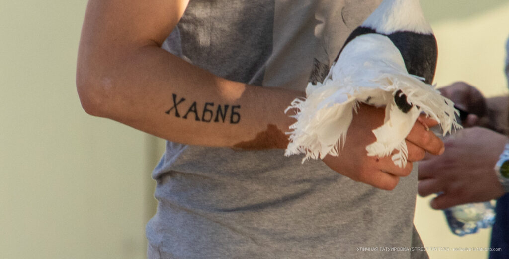Татуировка с надписью ХАБИБ на руке парня с ошибкой в тексте – Уличная татуировка (Street tattoo) № 05 – 15.06.2020 для tatufoto.com 2