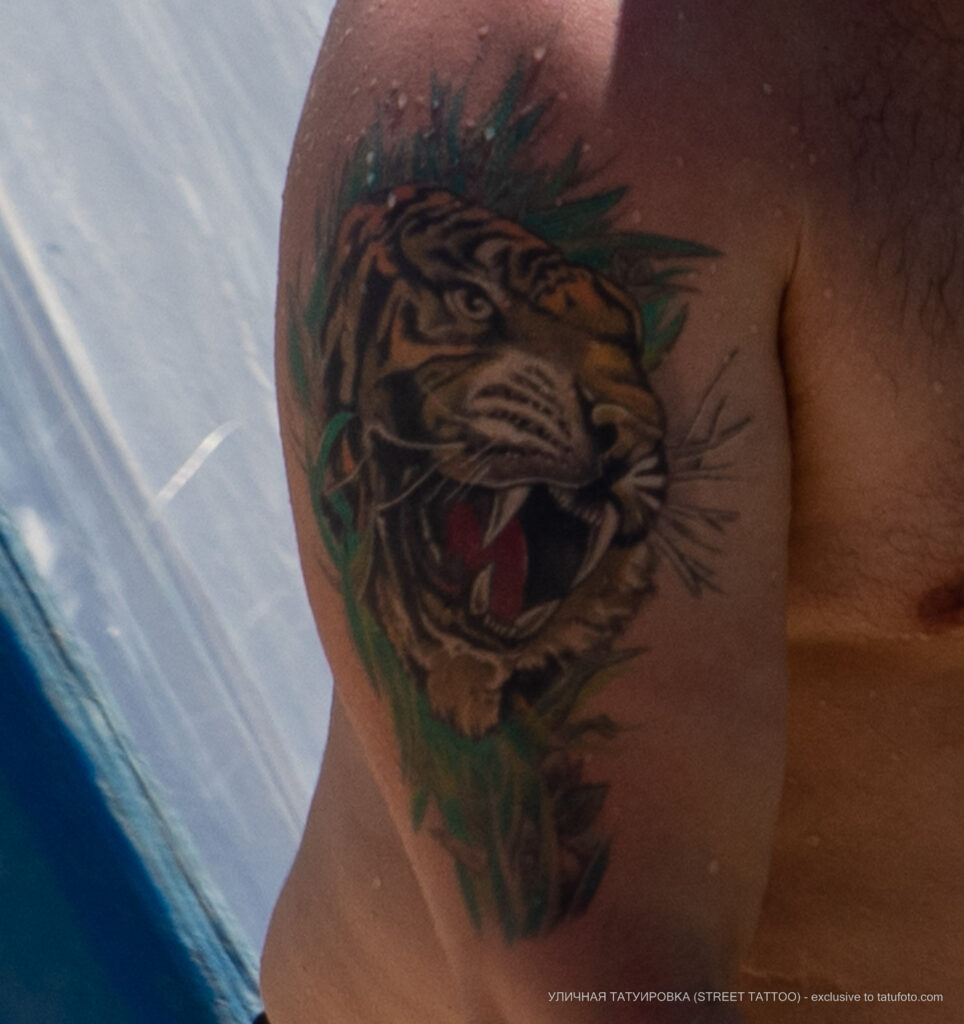 Цветная тату с тигром на правом плече мужчины Уличная татуировка (Street tattoo) № 04 – 12.06.2020 для tatufoto.com 4