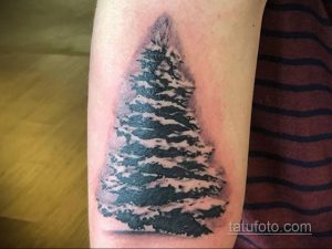 Фото тату ели на предплечье в технике blackwork. Изящный рисунок татуировки с детальной проработкой хвои и ствола. Идеальный эскиз тату для любителей природы.