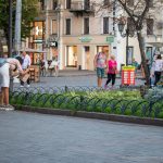Девушка фотографирует кота в цветах и траве --Уличная тату-street tattoo-21.09.2020-tatufoto.com 1