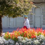 Фотография уличного художника в серебристой накидке и желтых брюках, идущего по улице среди цветущих клумб в Одессе.