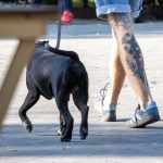 Тату меч и лавровый венок на ноге парня --Уличная тату-street tattoo-21.09.2020-tatufoto.com 1