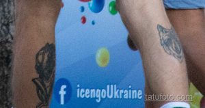 Крупный план татуировки волка на икре ноги. Черно-серый рисунок с реалистичной проработкой деталей шерсти и морды.