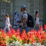 Тату с лесом – горами и птицами в рукаве у парня - Уличная татуировка 14.09.2020 – tatufoto.com 7