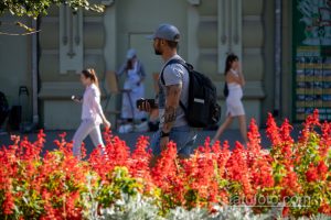 Фото тату на руке мужчины: реалистичный пейзаж с горами, лесом и туманом. Черно-серые тона, детализированная проработка.