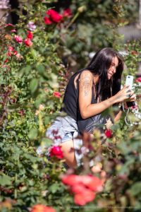 Фотография девушки с татуировкой на плече, стоящей среди цветущих роз. Татуировка выполнена в темных тонах и изображает животное.