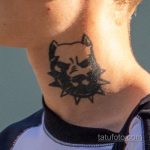 Тату с мордой Пит Буль Терьера – ТАТУ ПИТБУЛЬ на шее молодого парня – tatufoto.com 4